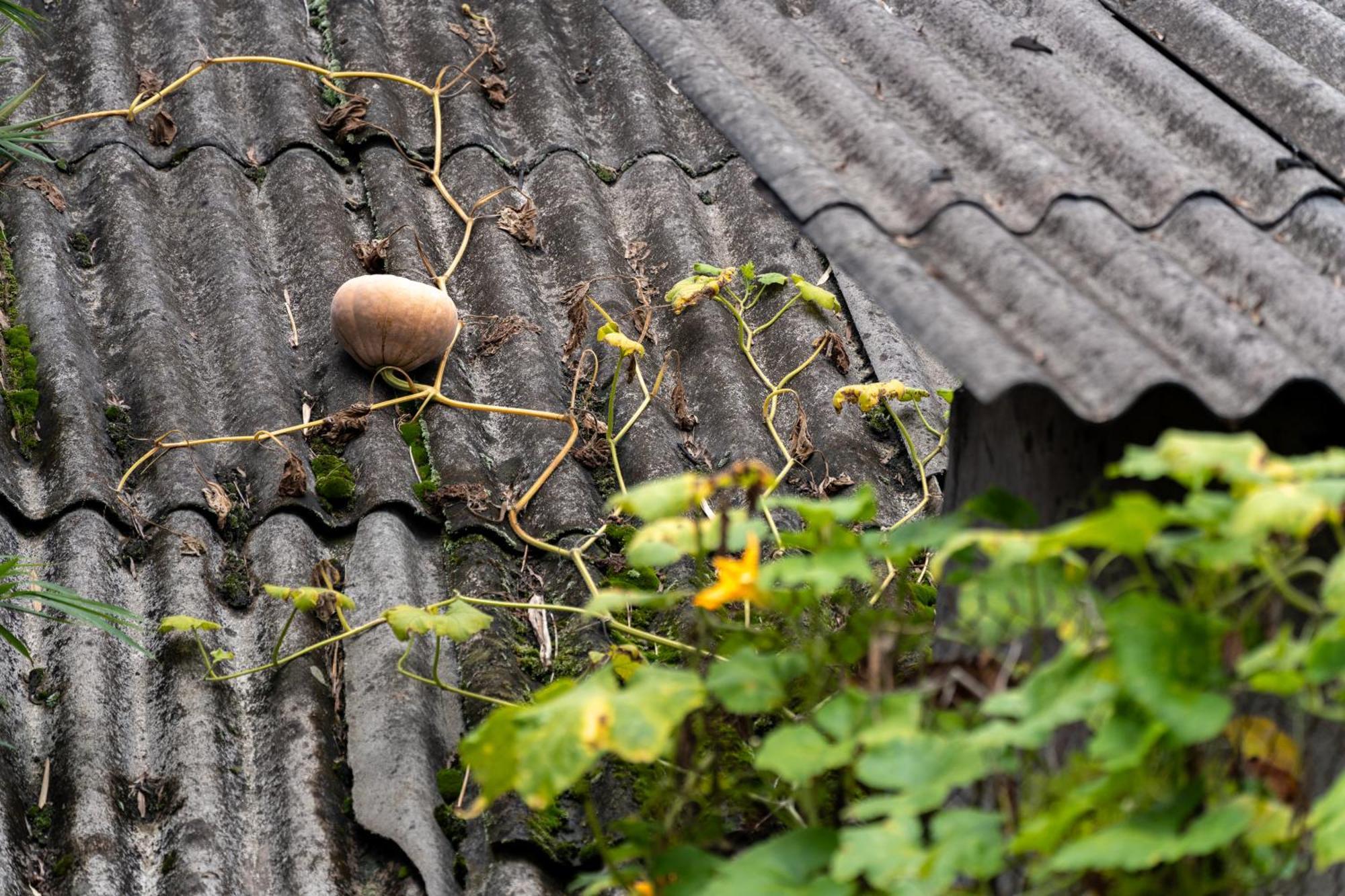 Apartamento De Yang House Sapa Exterior foto
